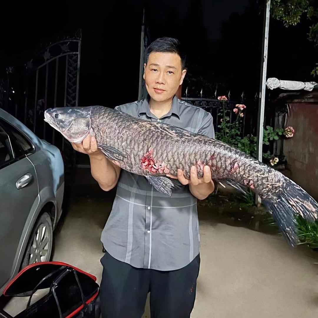 5 5 5陶瓷
