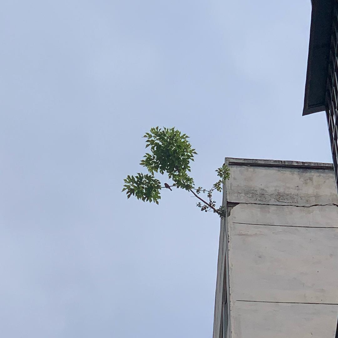 ᰔᩚAutumuᥫᩣ 🦩