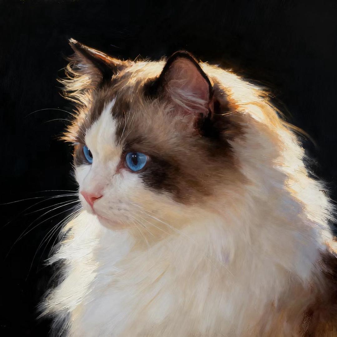 满山猴子我腚最红