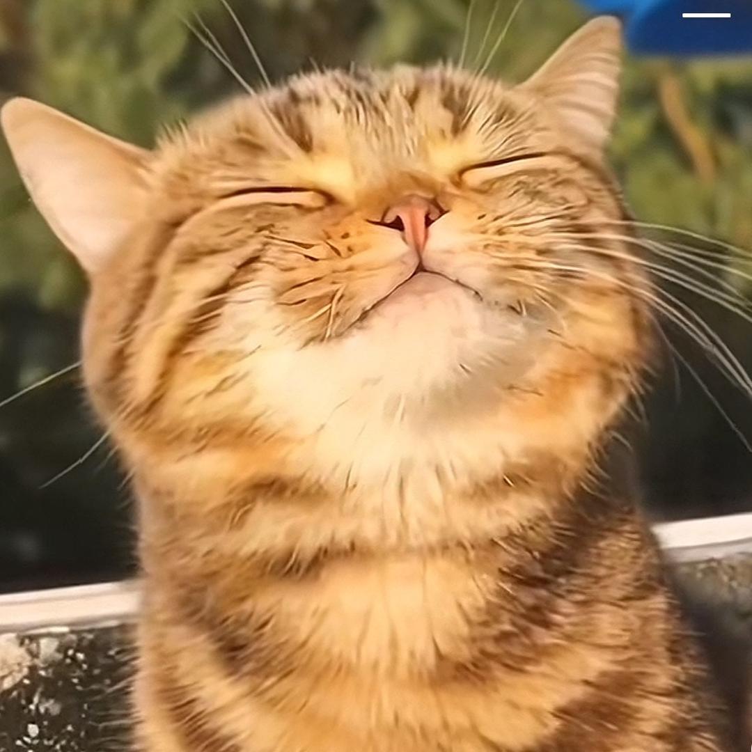 渭南工厂