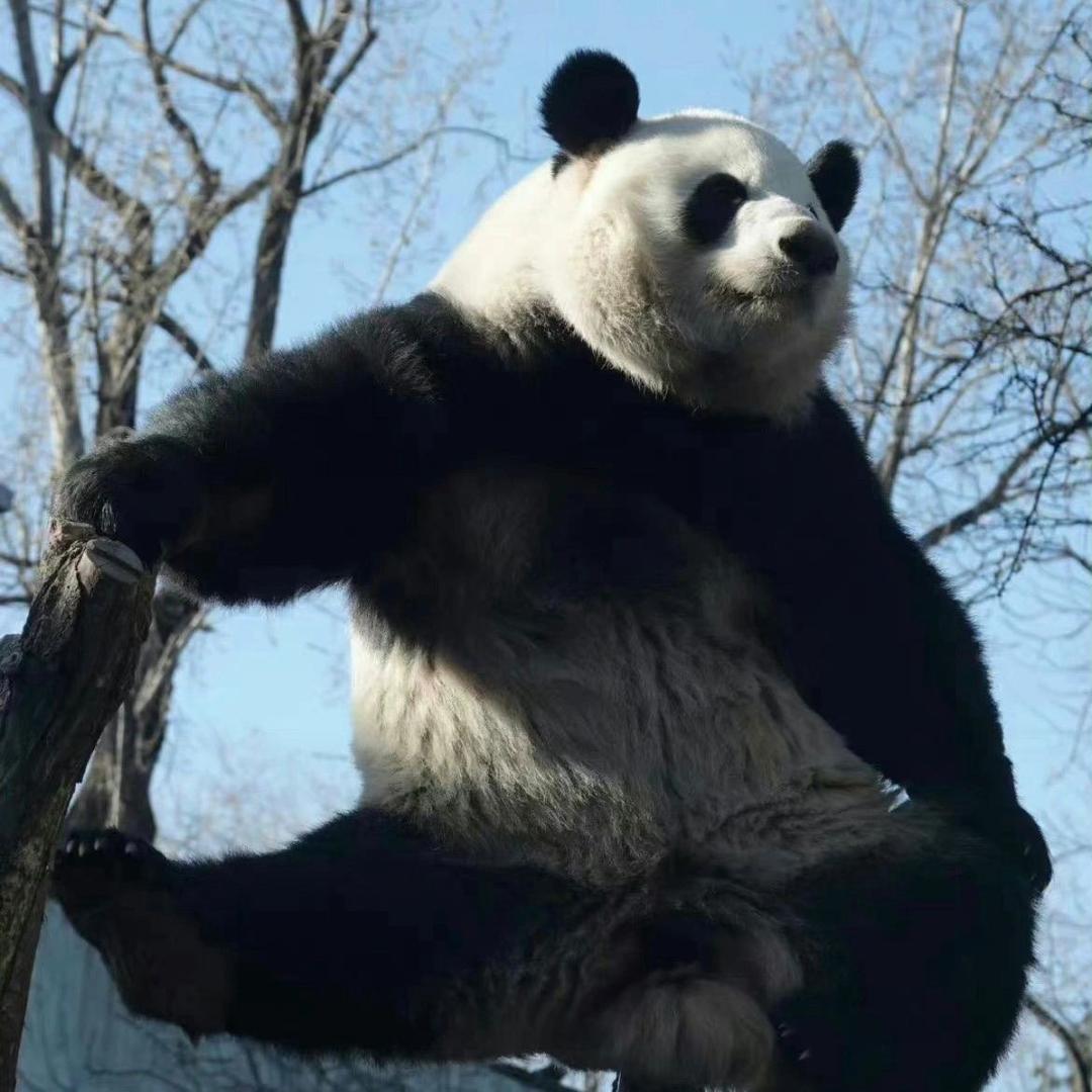 一起看剧吧头像