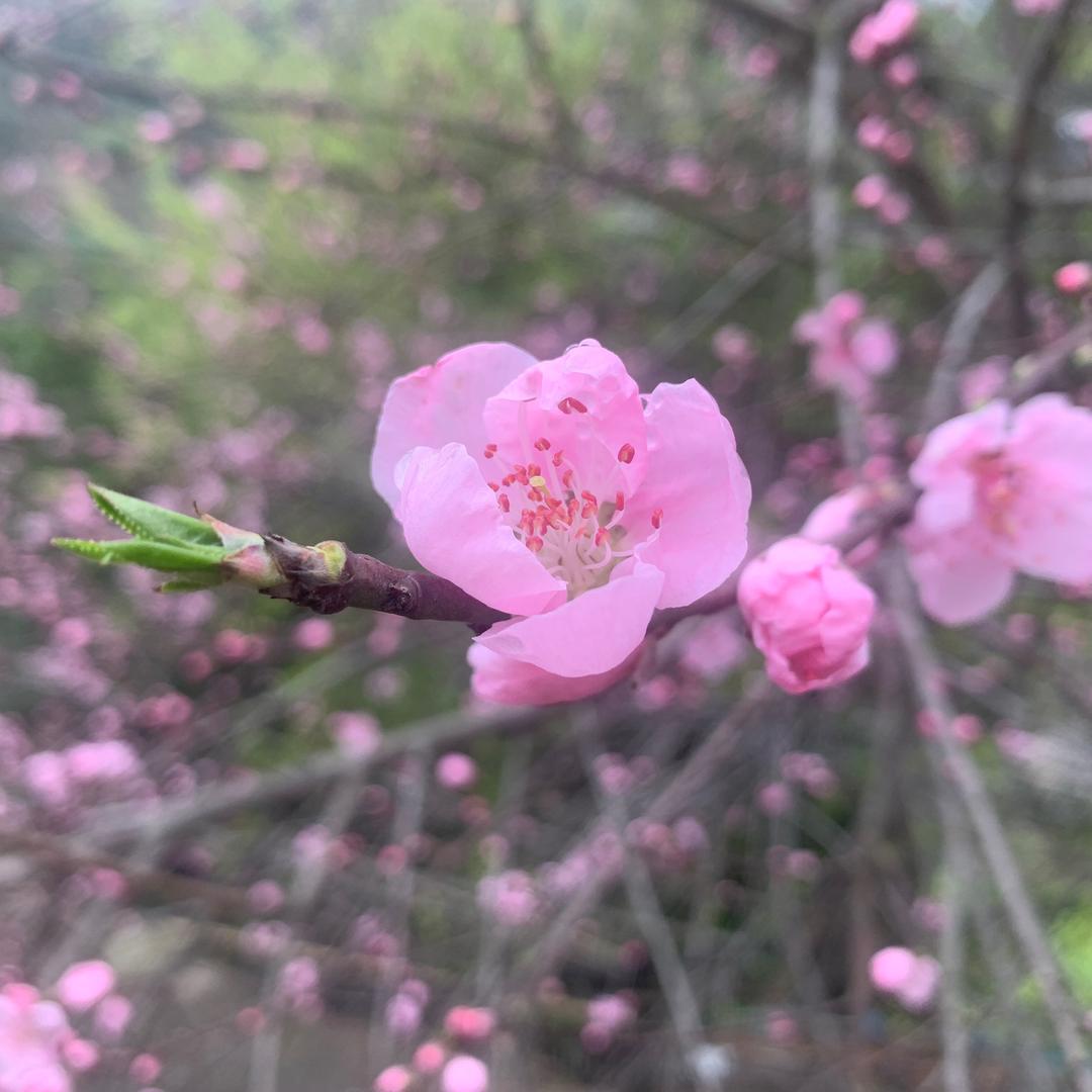 🎊🧏🏻‍♀️独行侠🧝‍♀️