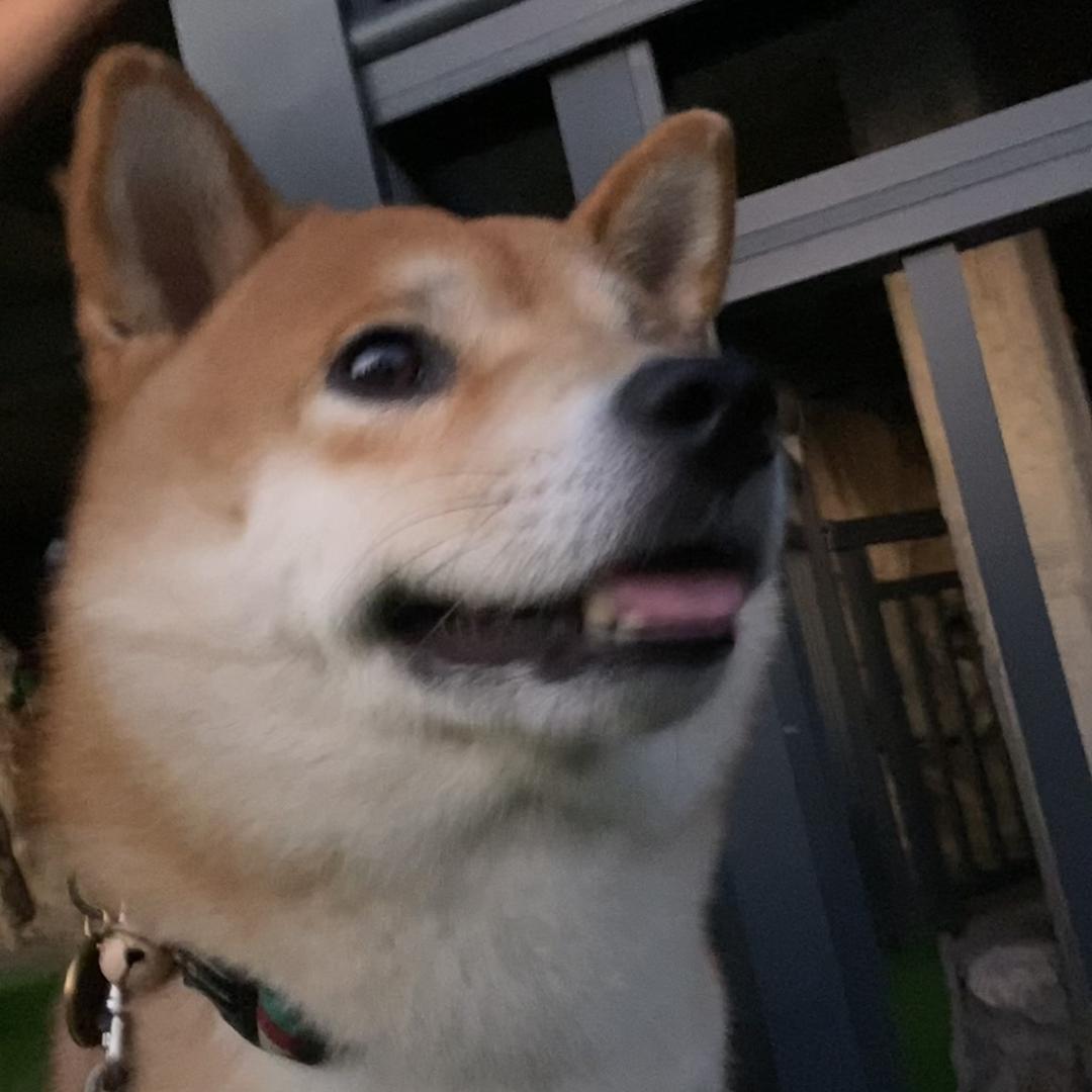 .宇（好吃懒做版）