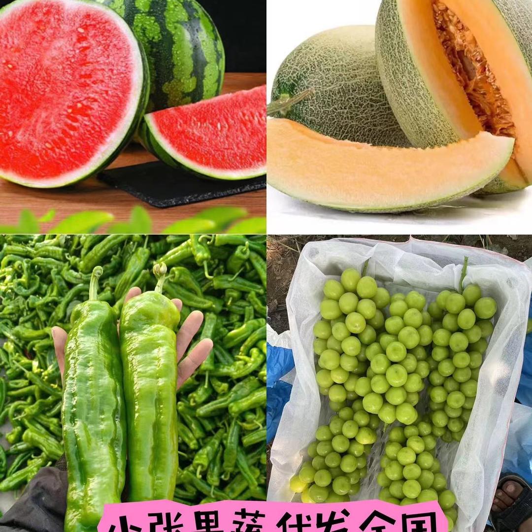 小张麒麟美都产地供应