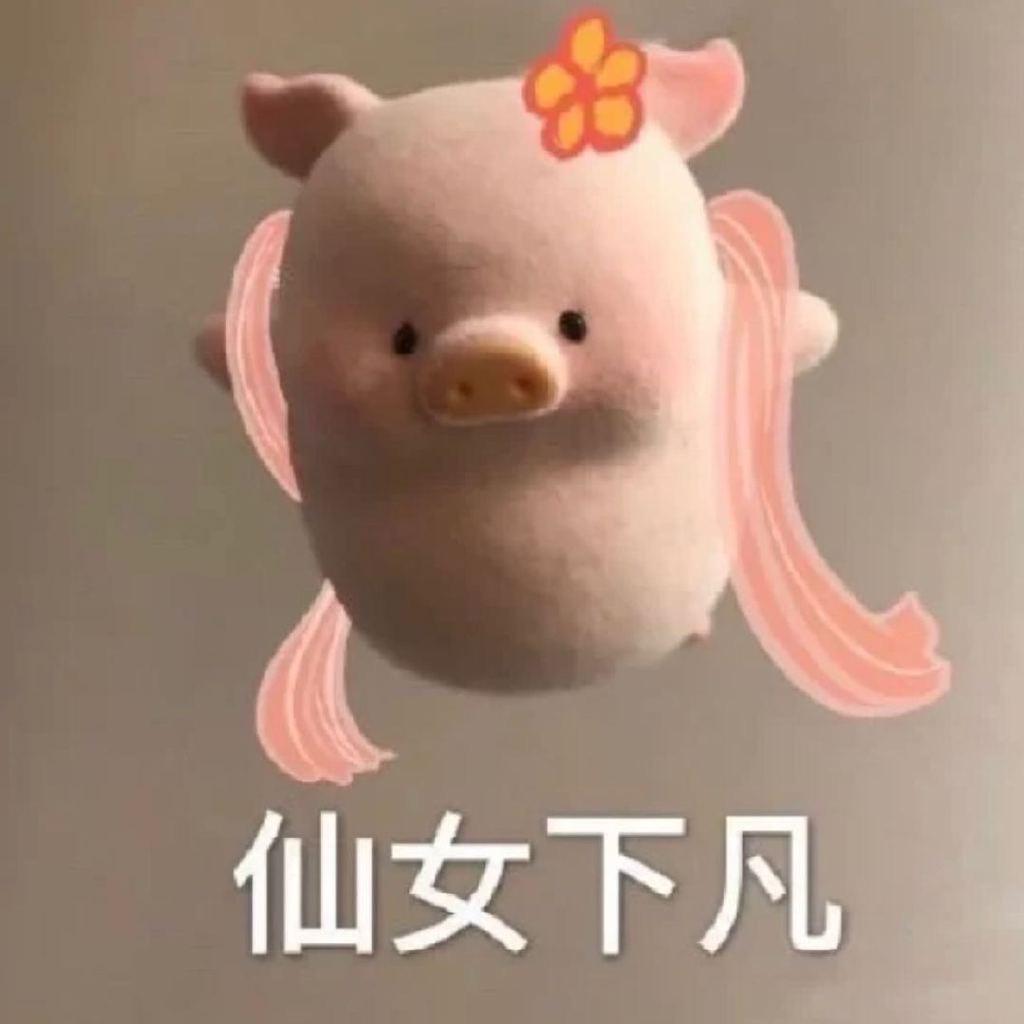 爆米没有花