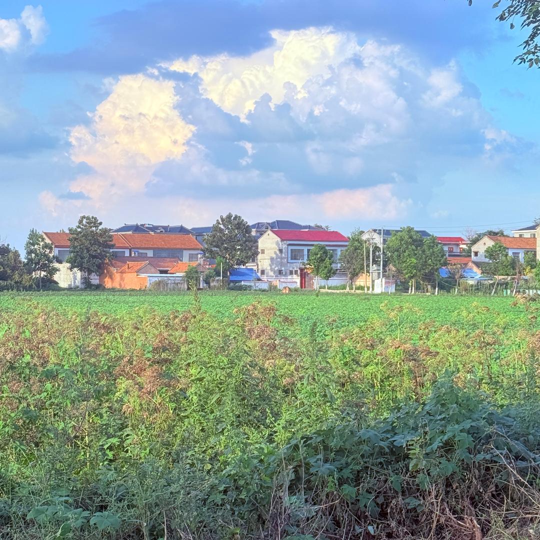 财神爷得心尖尖呦