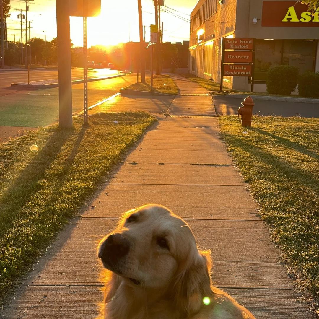 阿柔爱吃辣.（怀孕中）