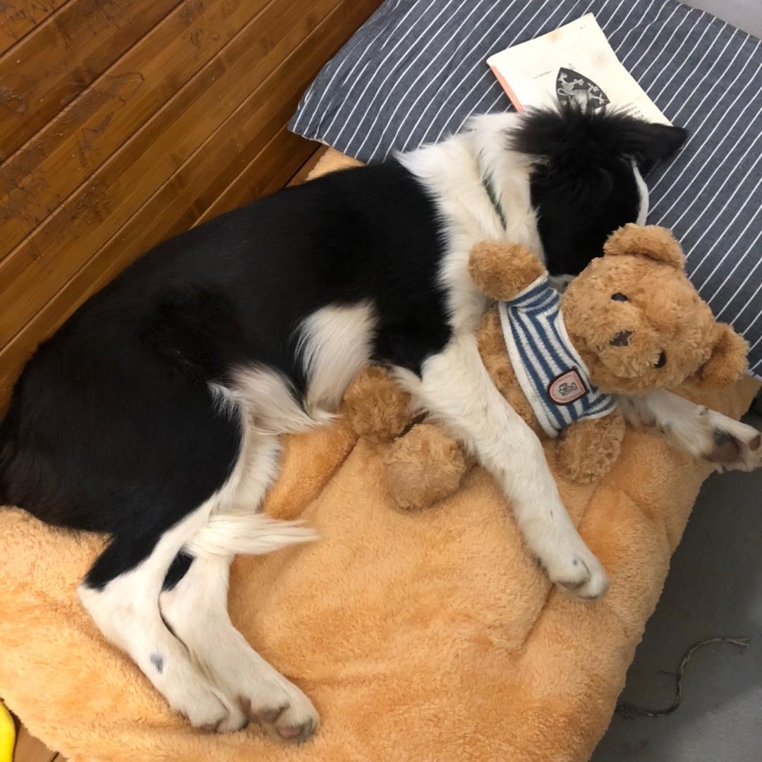 九月山舍