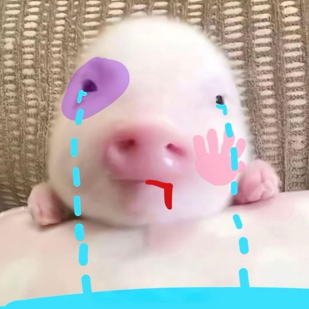 你咋这样对我！