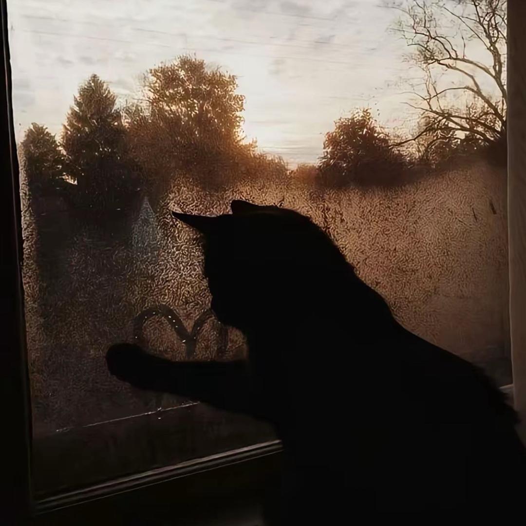 云☁️水淼漫♚