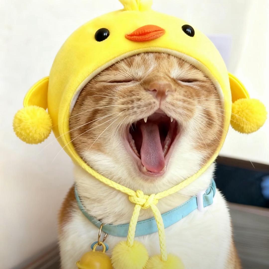 励志把男朋友调教成男同…