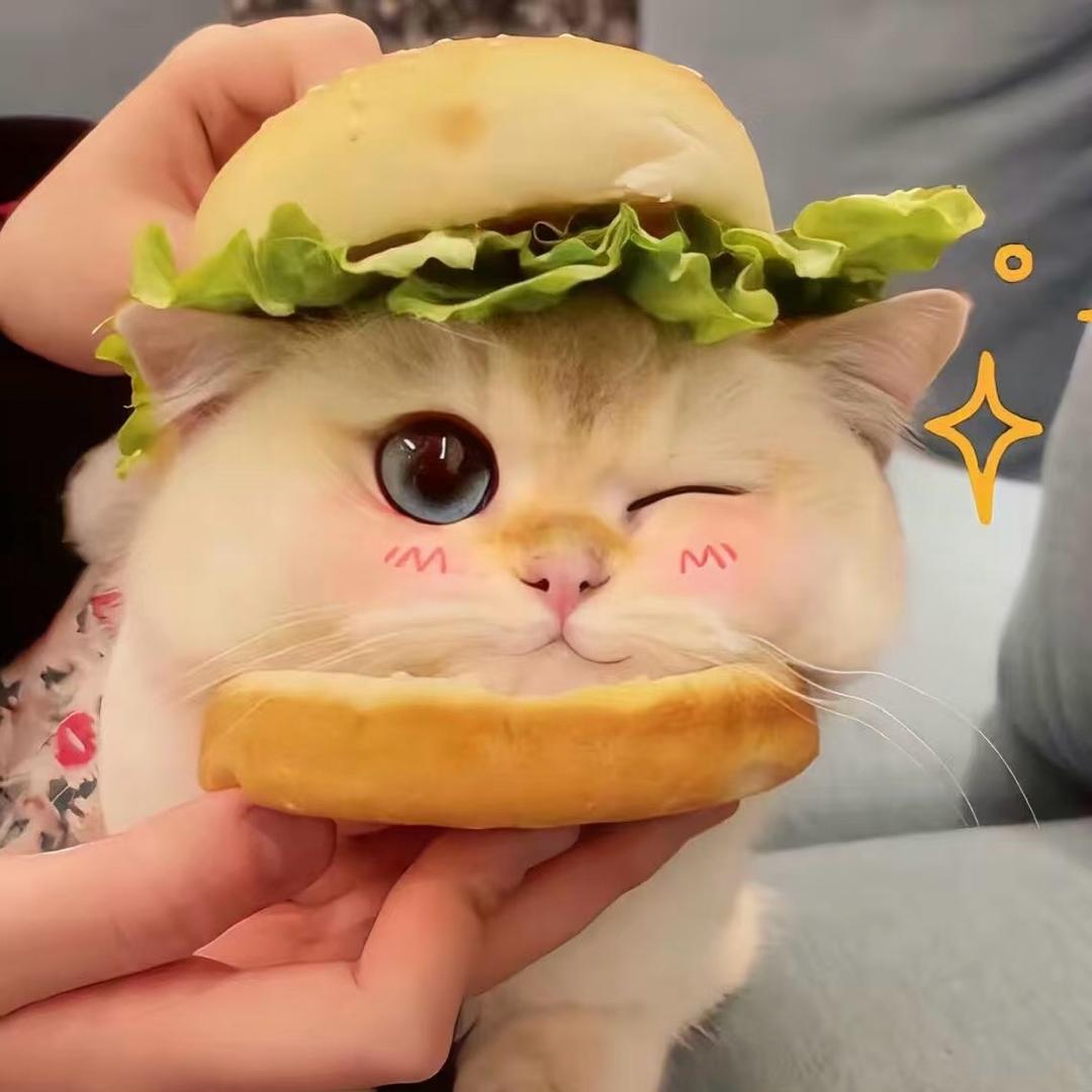 呆小兔.