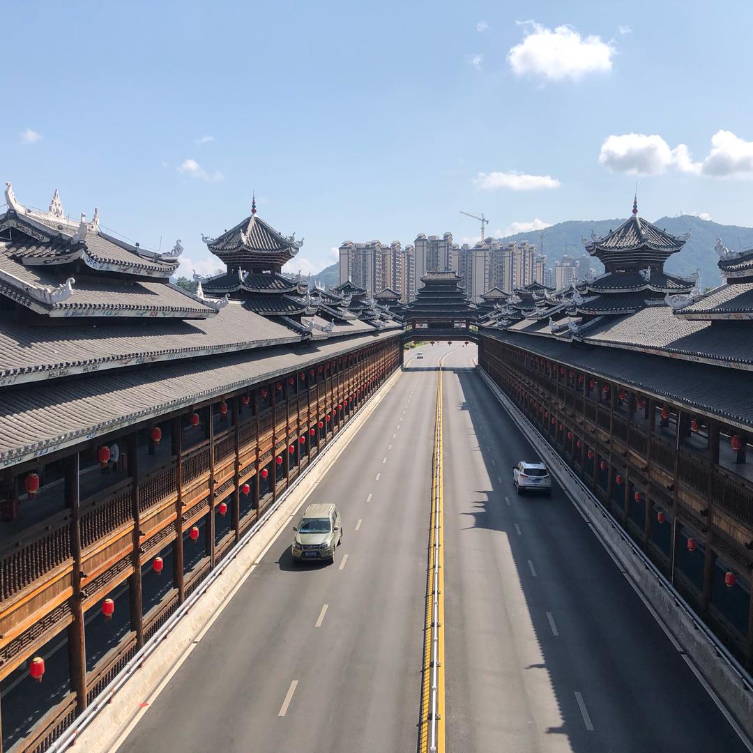 小杨同学✔️