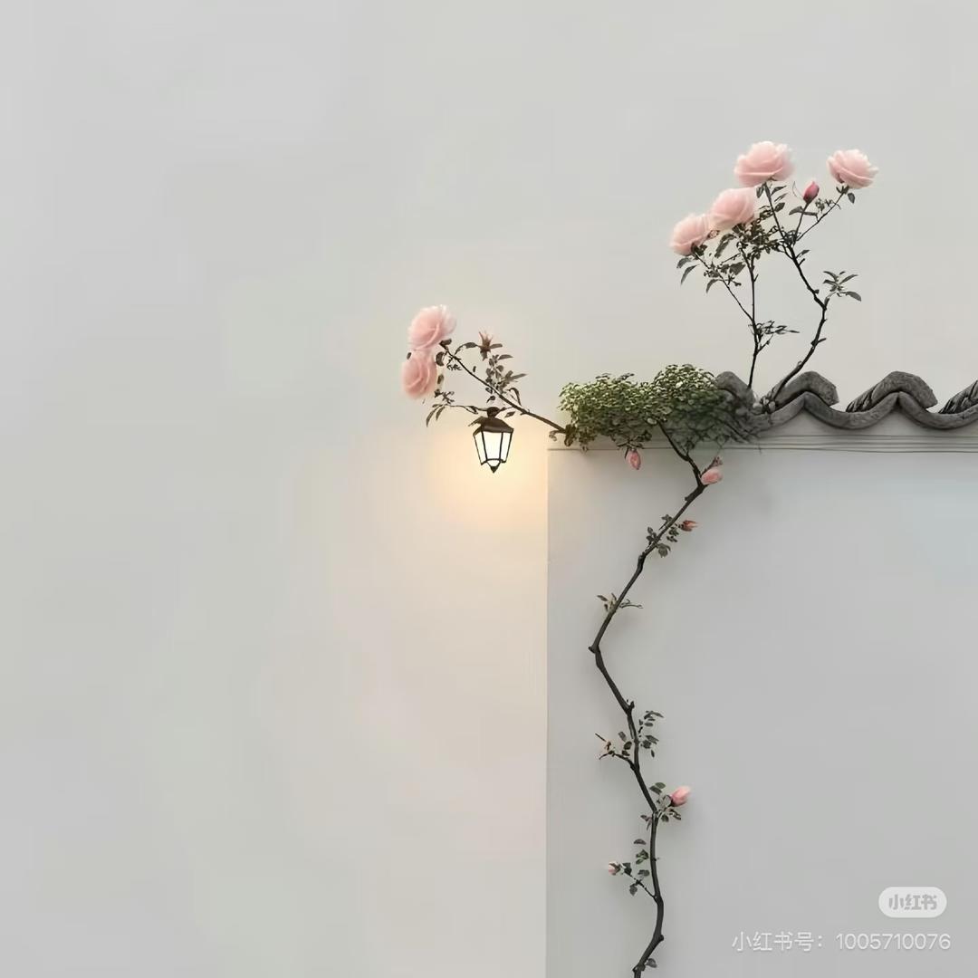 ໑ຼₒ₂₅ღ邂逅🌾