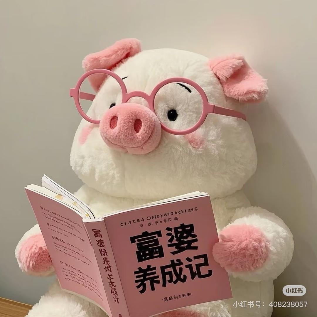 猪猪喔~🐷