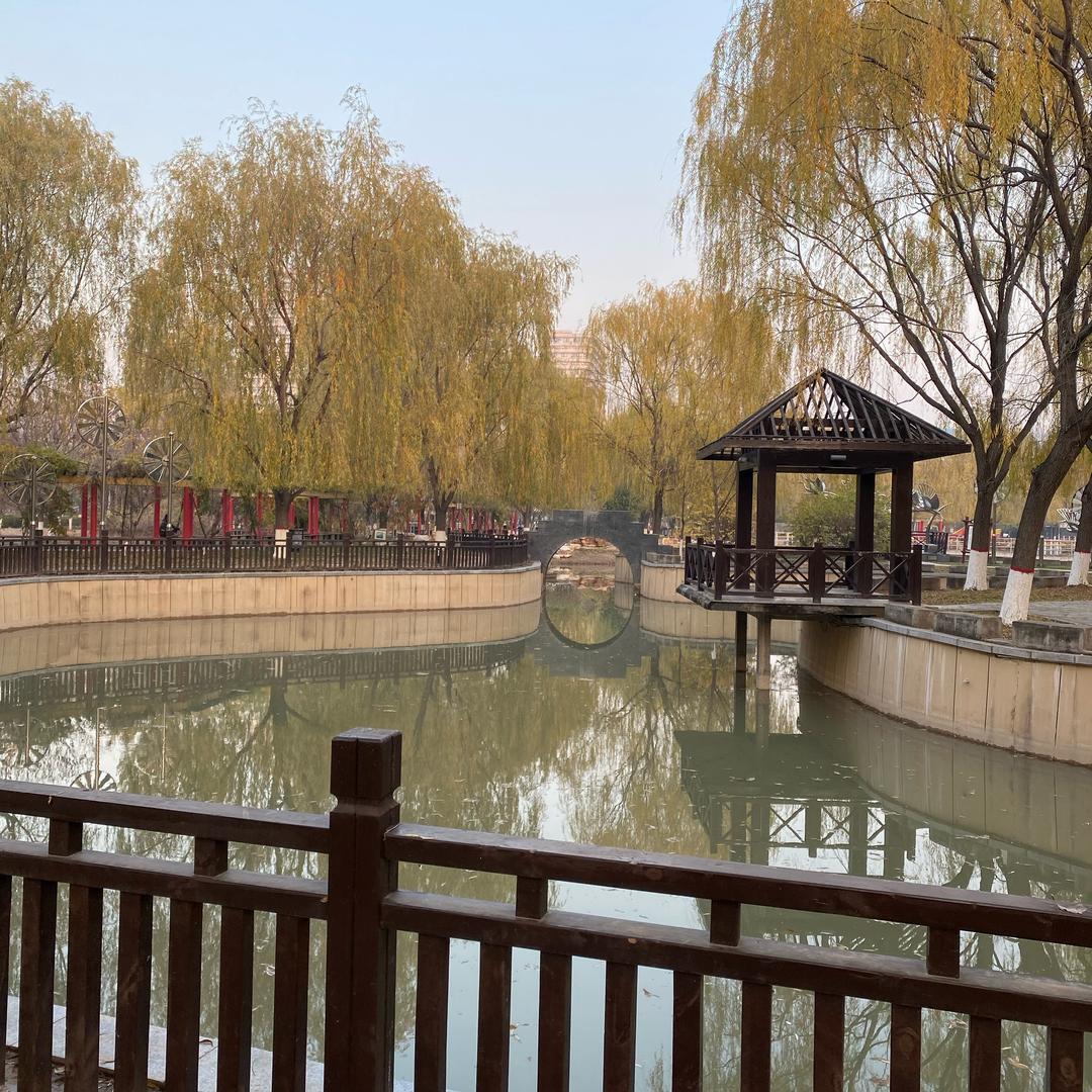 无尽夏〰️