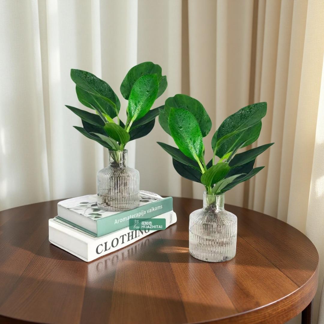 时光里绿植供应链