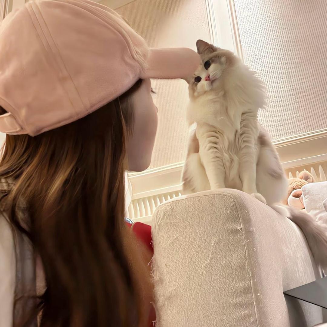 小蜂蜜炙小汉堡