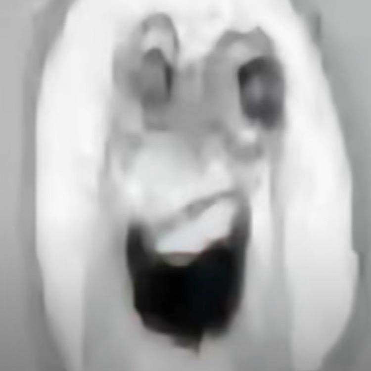 坚果