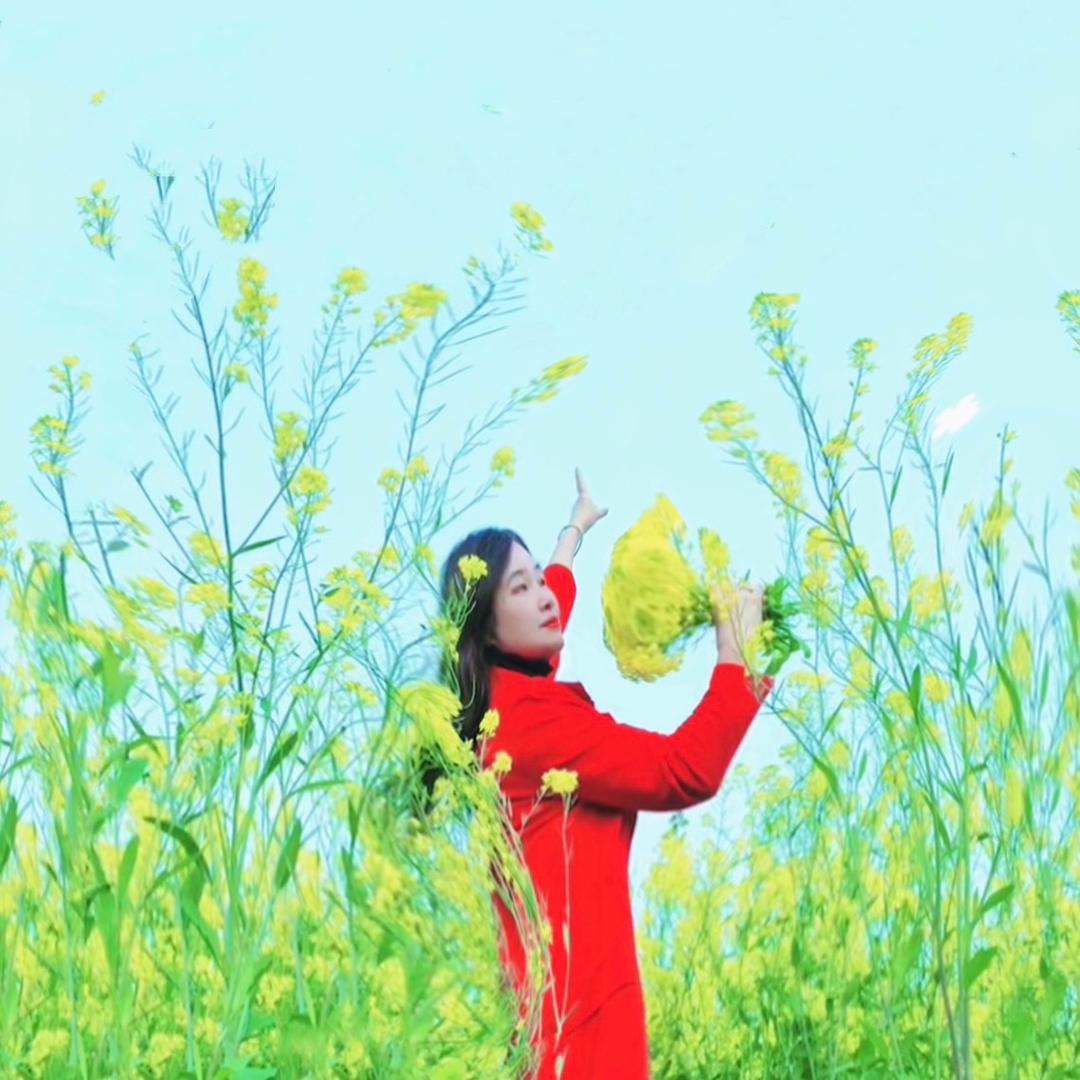 🦋🦋飞蝴蝶🦋🦋