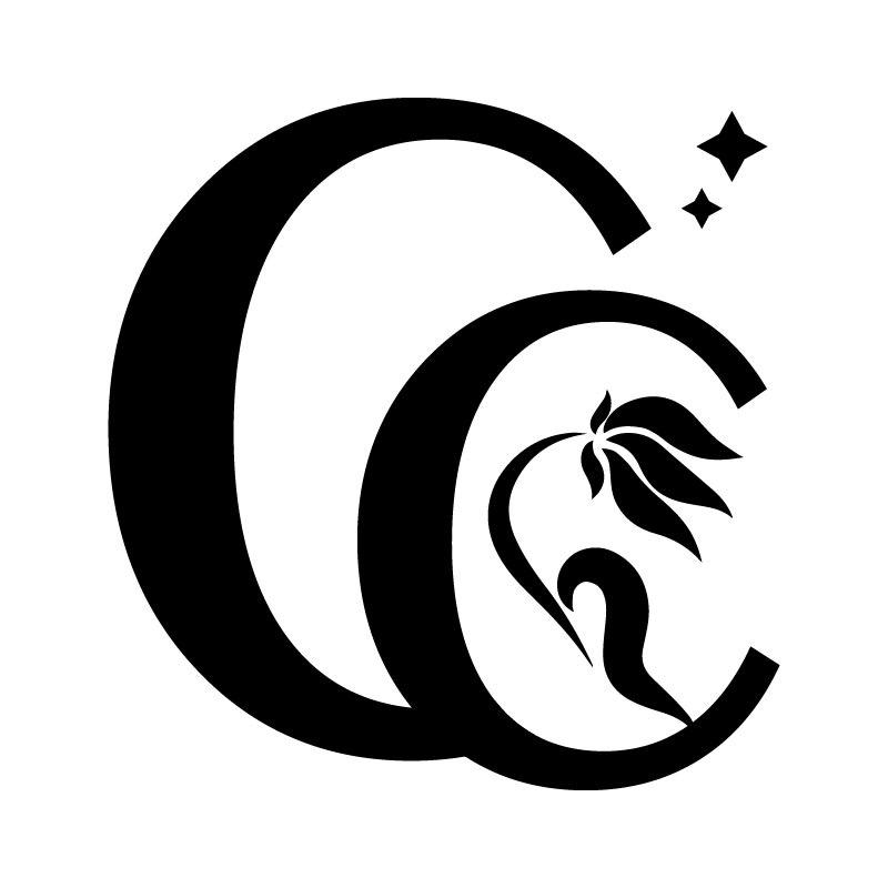 CC高定女鞋