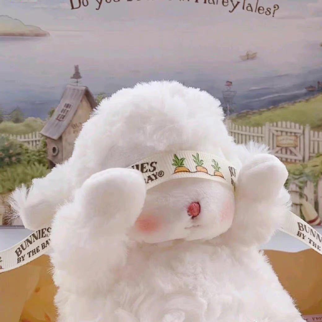 野生小绵羊🐑