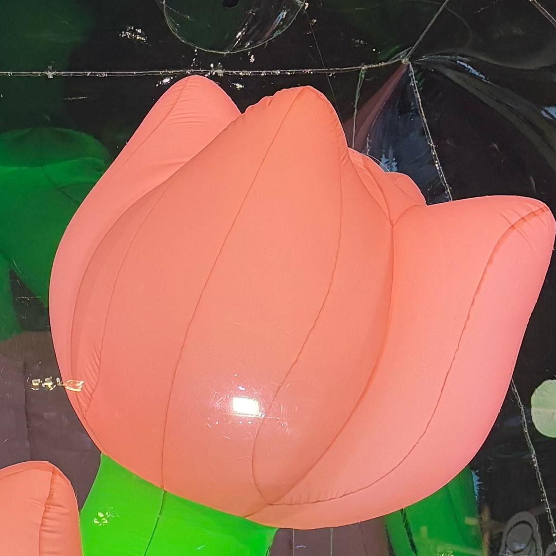 冉启甄选养殖孵化