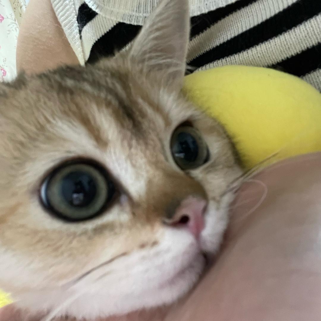 小张同学