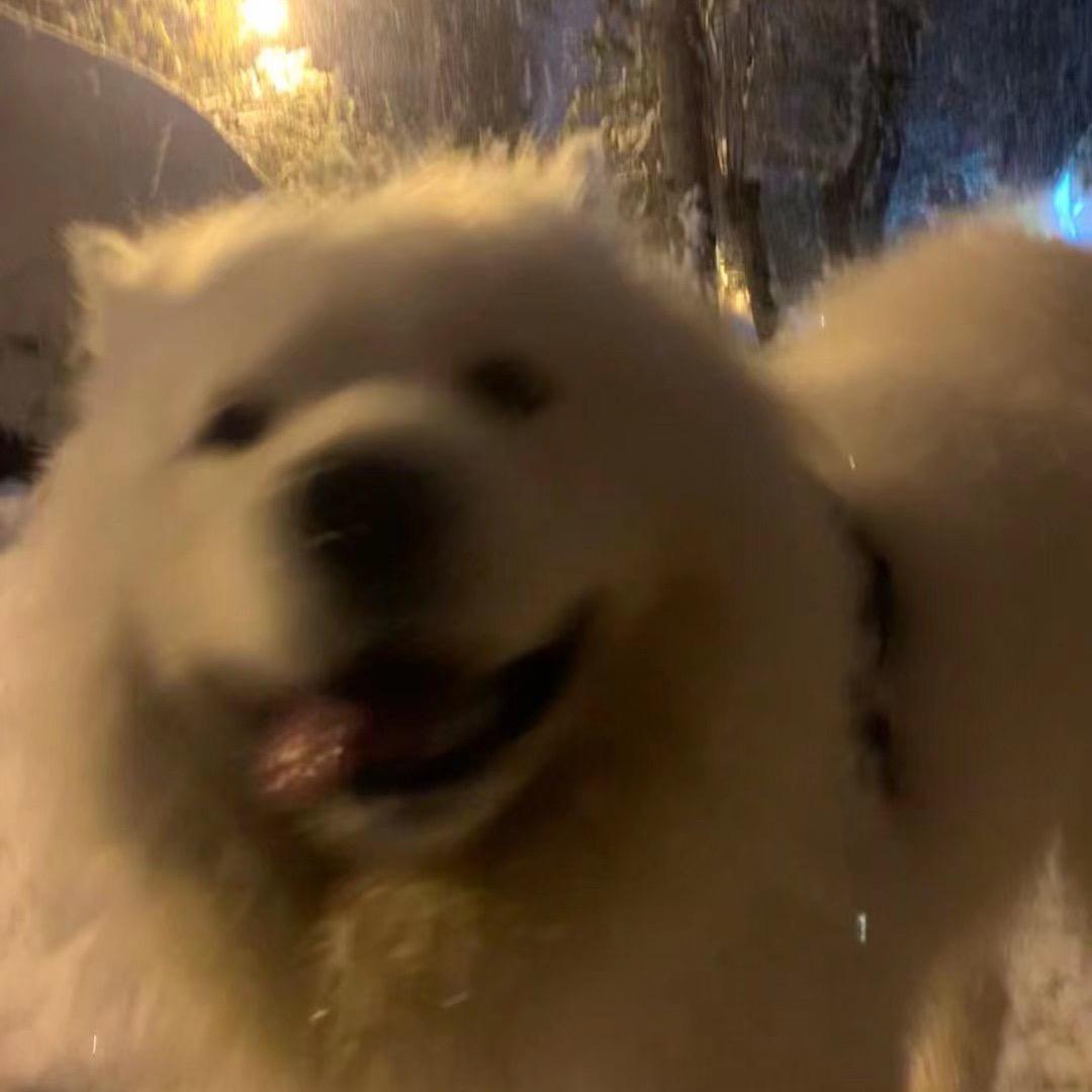 我见青山多妩媚