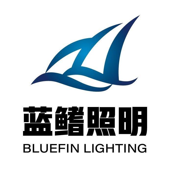 中山市蓝鳍照明有限公司