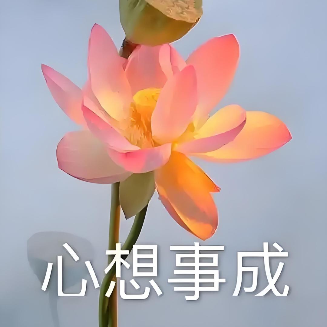 岁岁