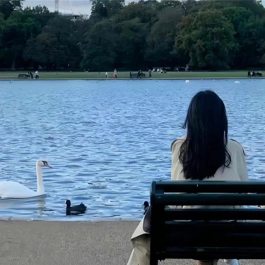 是阿美耶