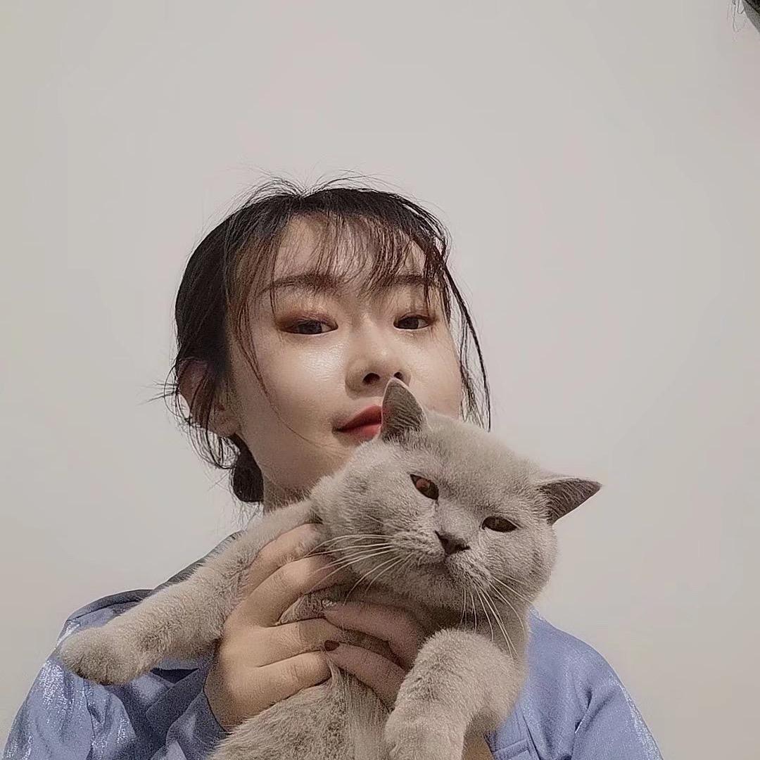 一只小橙子