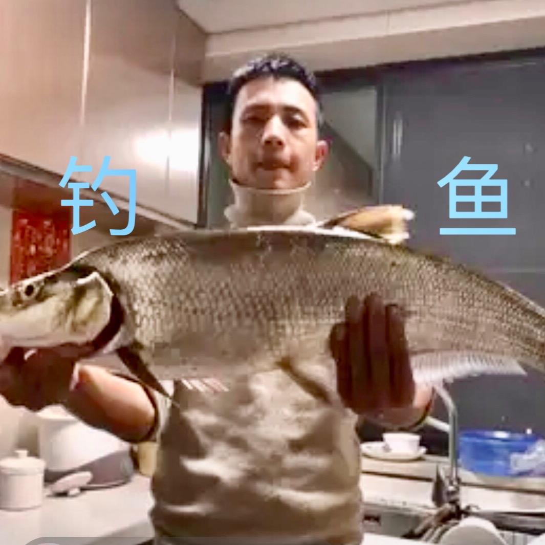 金哥爱钓鱼