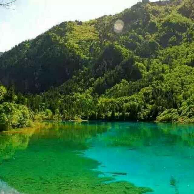 顺其自然，过好每一天。