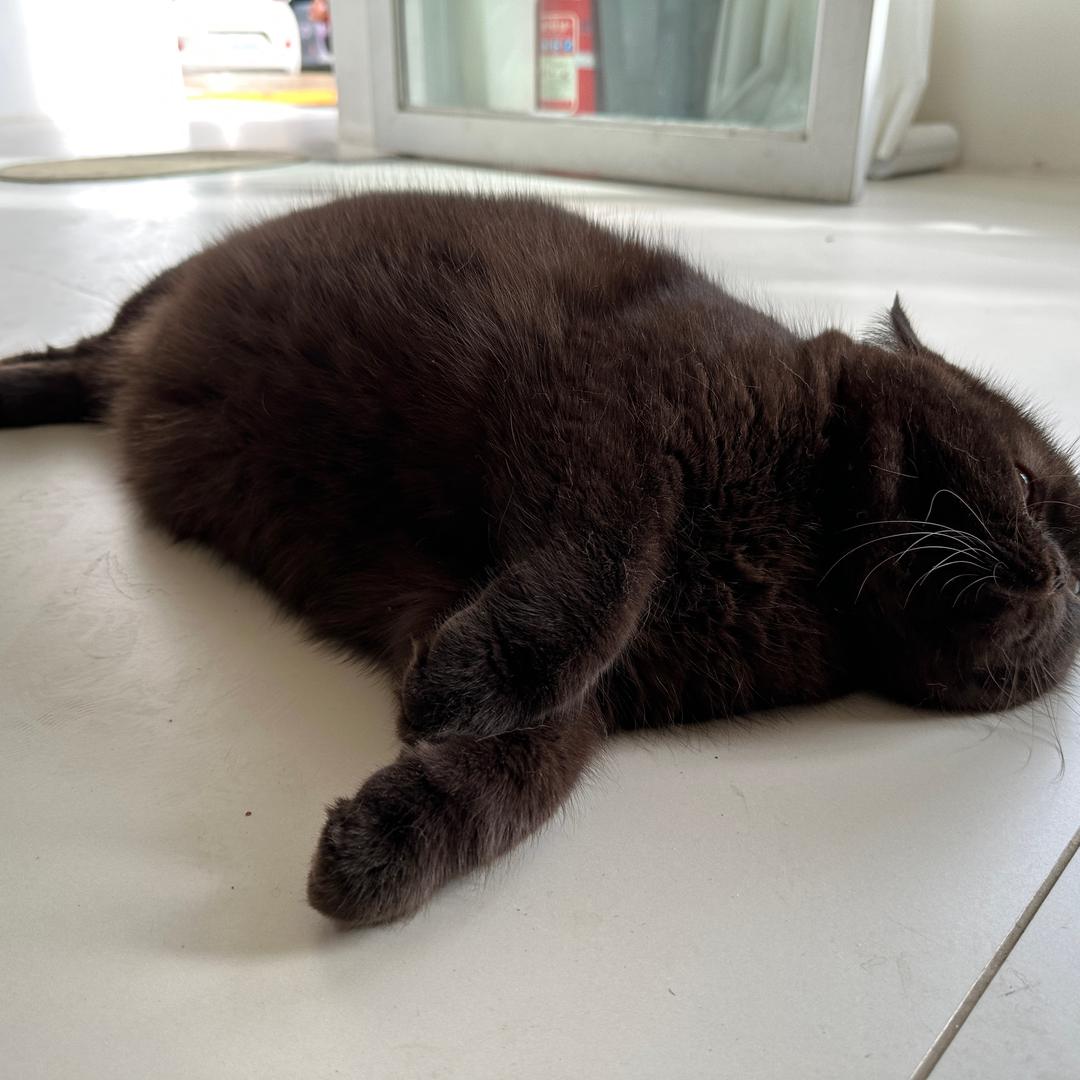 鸣小哥