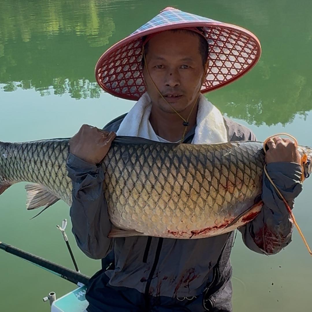 溪河野钓