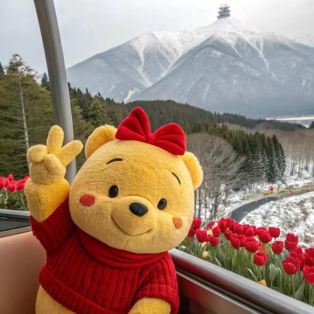 DW的奶油法式小屋🏠装修记录～～～