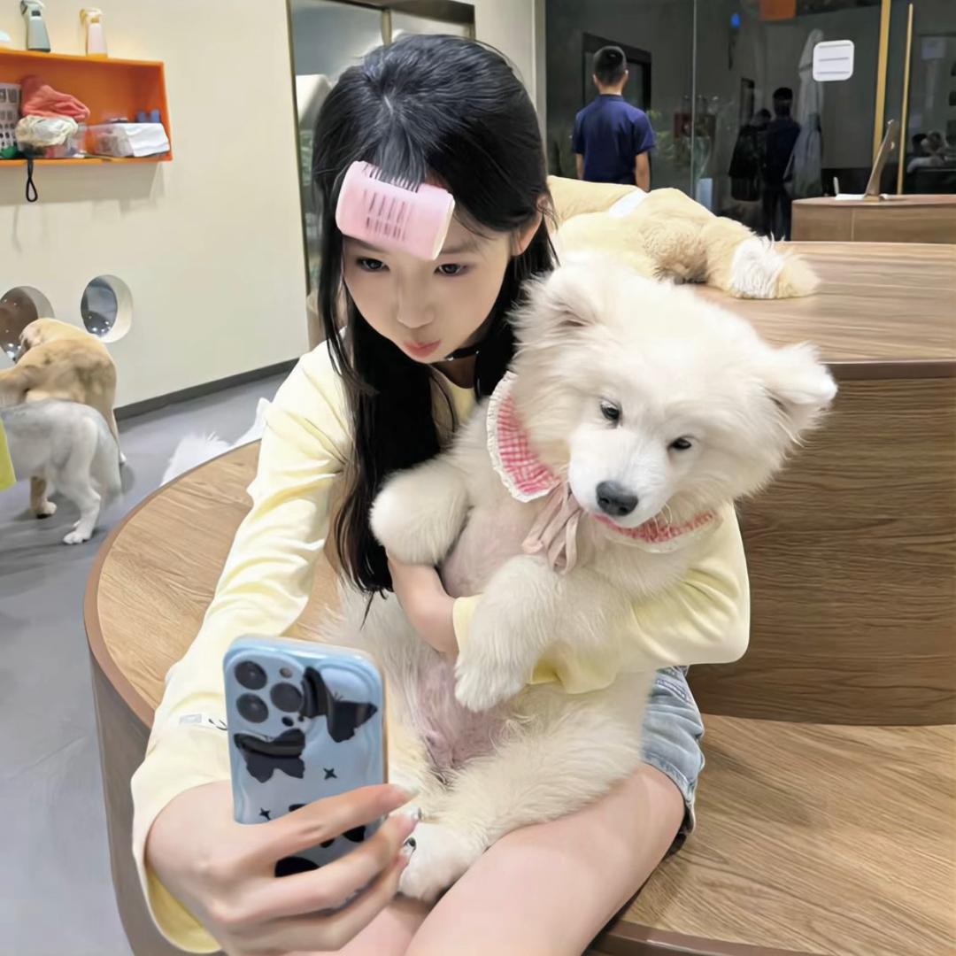 佛山安运达新能源-凤梨