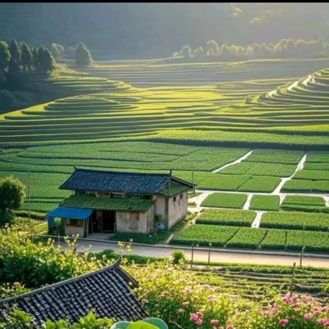 诺之行优选