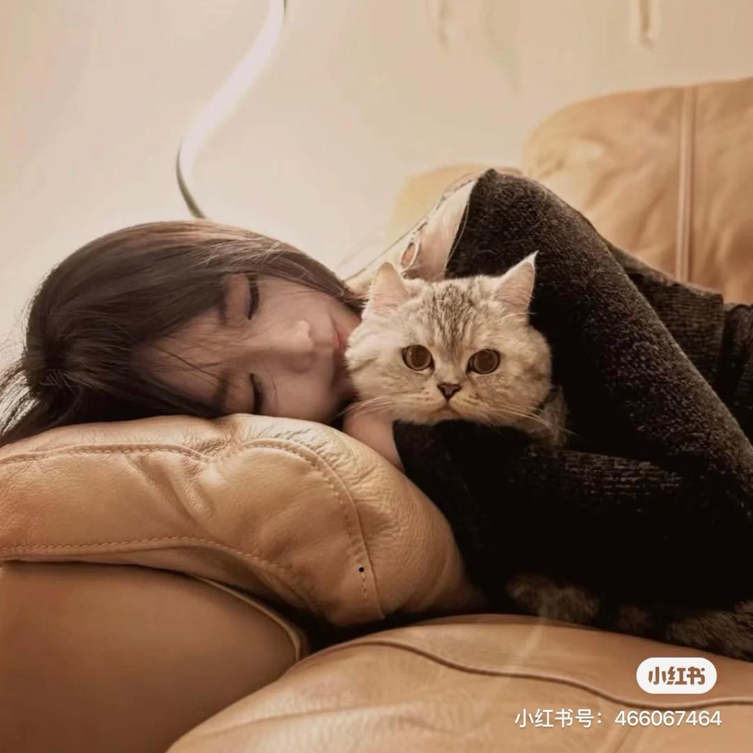 小Y.