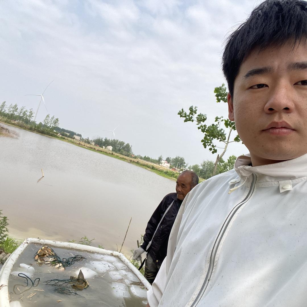 乐乐生态甲鱼坊