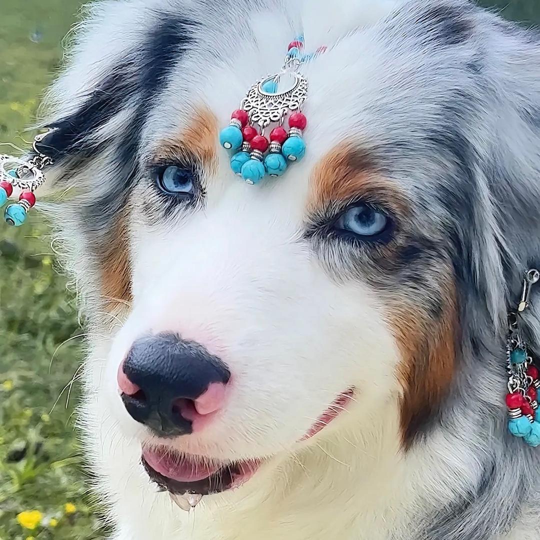 甜沫儿（逆水寒手游）