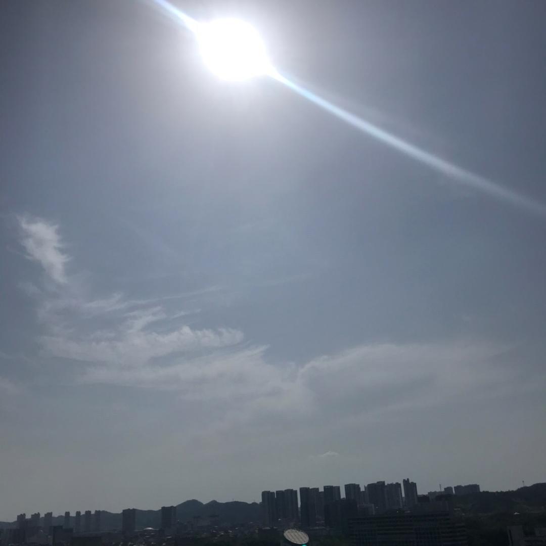 湖北省郑亨伯