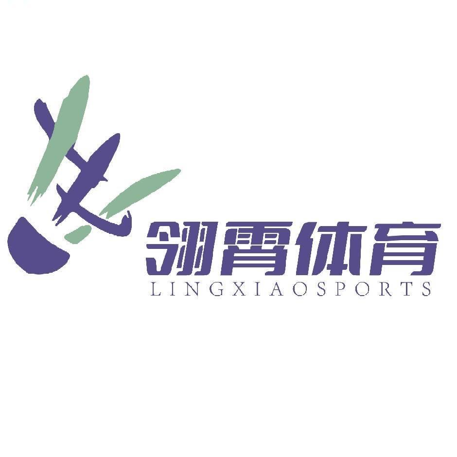 翎霄体育🏸（偷后场剪你线）