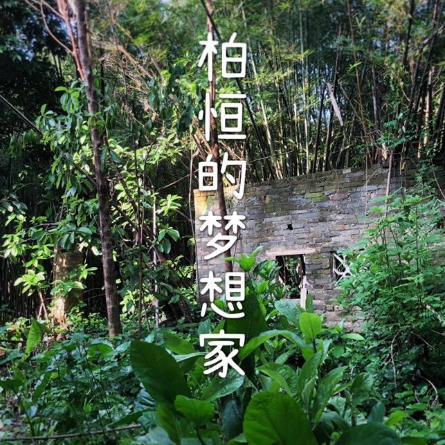收皮皮