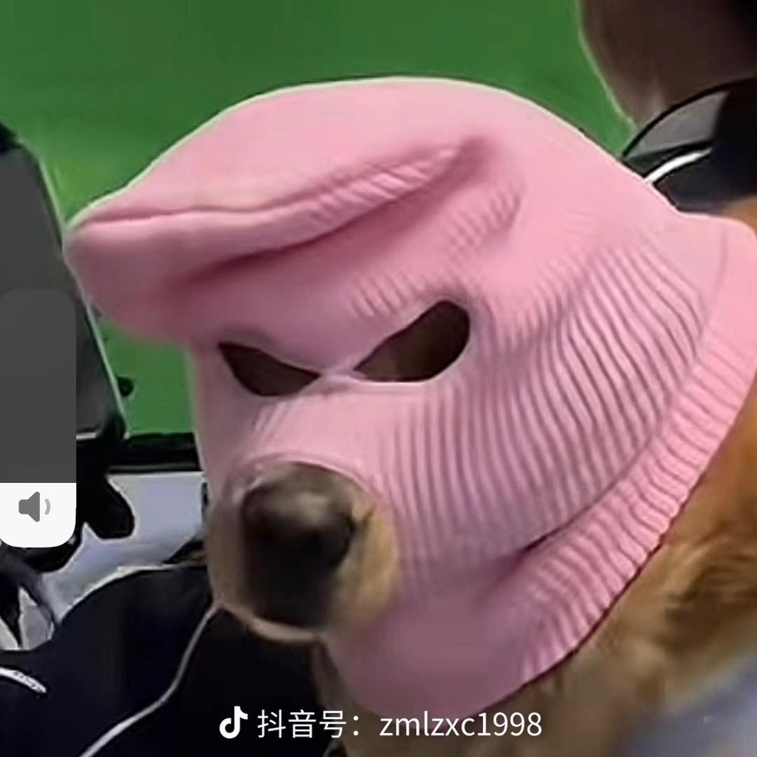 别多管闲事