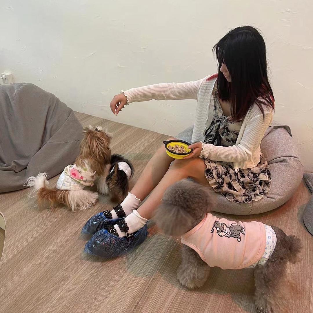 小烨不耶