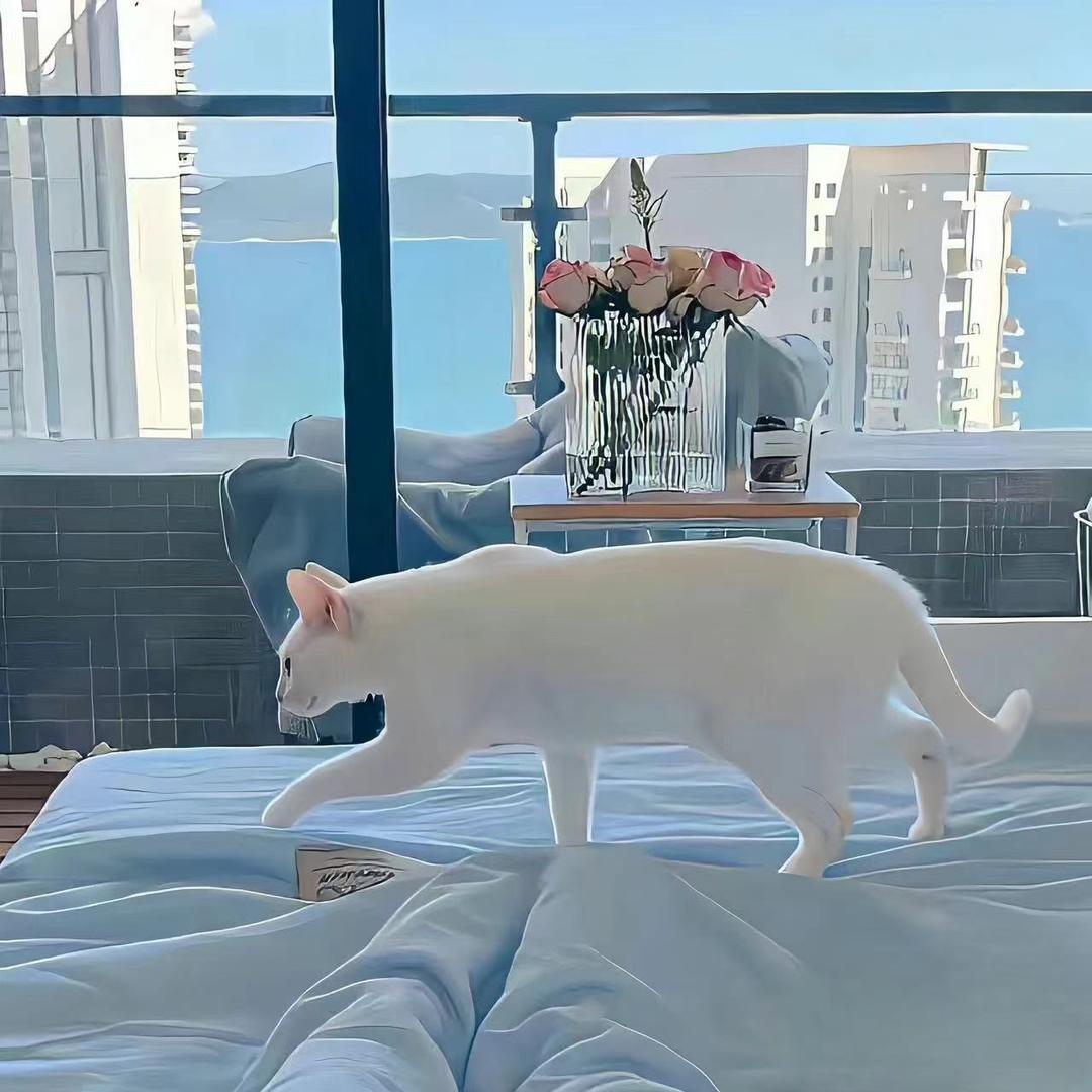 🐑嘉嘉是个爱哭包