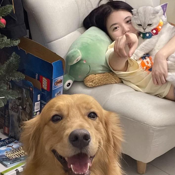 1️⃣只铁拳🐳